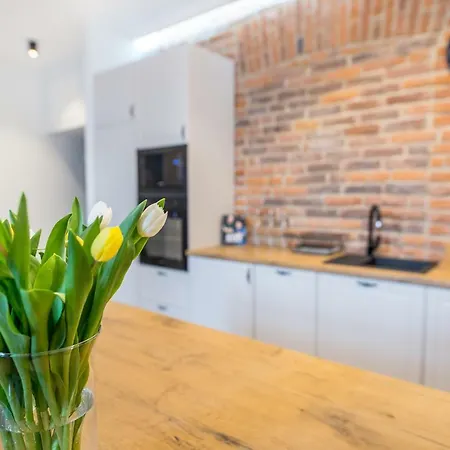 Cracow Starowislna 54 Apartamento *